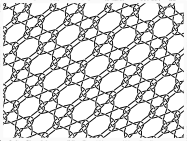 p-net5a